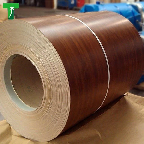 Ppgi Coil Prepainted Gi Steel Coil