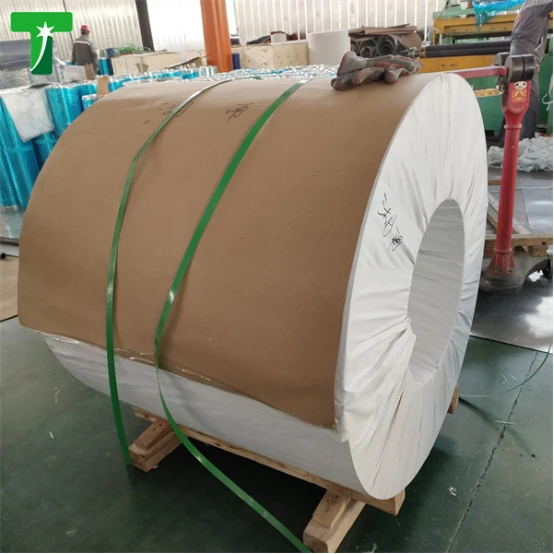 product-554-554 product-554-554