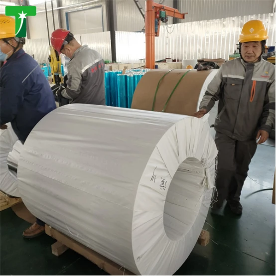 product-554-554 product-554-554