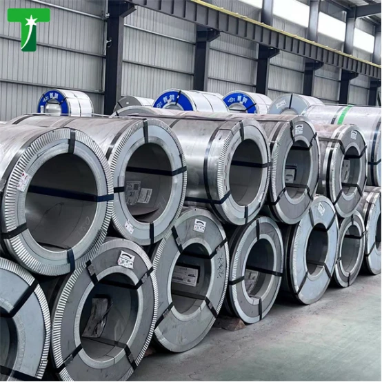 product-554-554 product-554-554